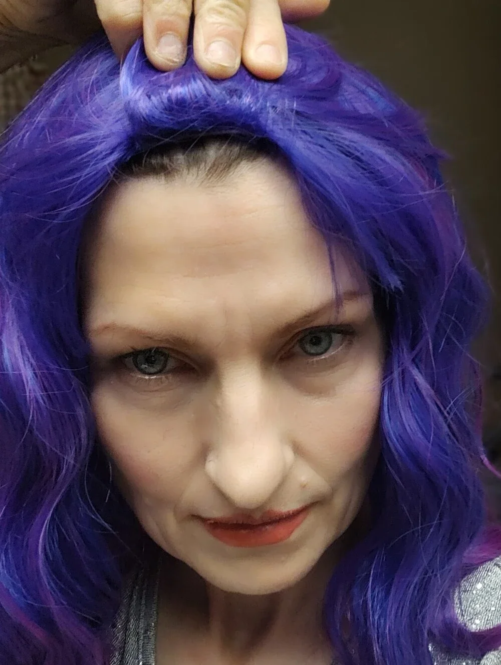 Purple And Pink Full Head Wig NWT